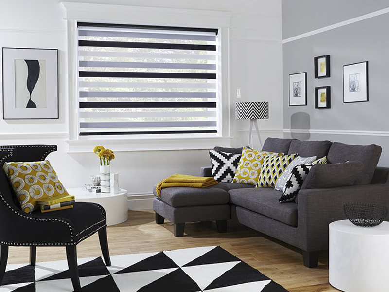 Vision blinds Falkirk