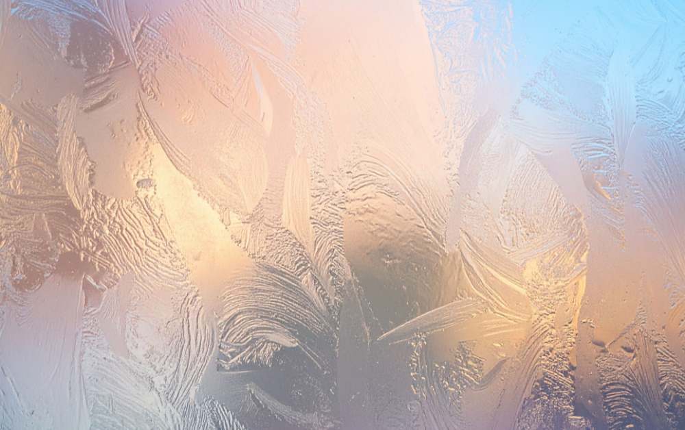 patterned Window film Scotland